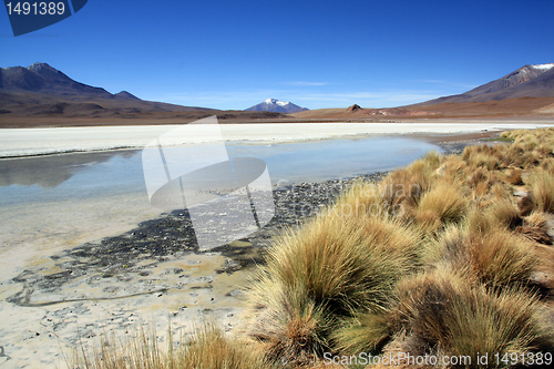 Image of Salt lake