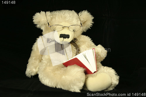 Image of teddy bear reading