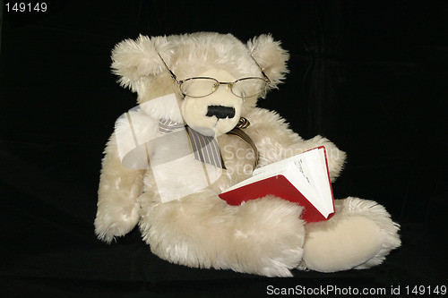 Image of teddy bear reading
