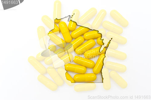 Image of Outline map of wisconsin with transparent pills in the backgroun