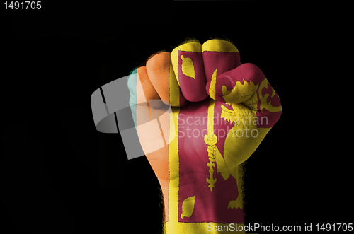Image of Fist painted in colors of srilanka flag