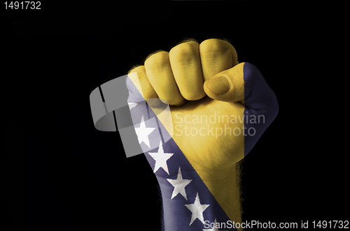 Image of Fist painted in colors of bosnia and herzegovina flag