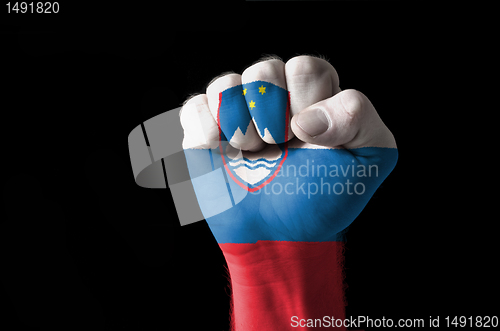 Image of Fist painted in colors of slovenia flag