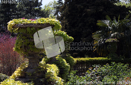 Image of plants in a park