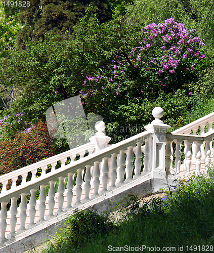 Image of stairs in park