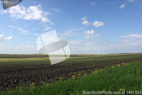 Image of fields 