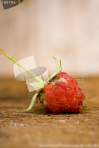 Image of Sweet raspberry