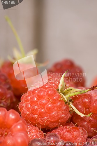Image of Red raspberries III