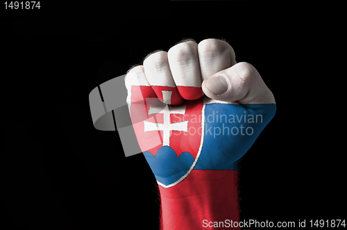 Image of Fist painted in colors of slovakia flag