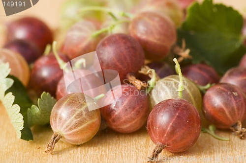 Image of Fresh gooseberries II