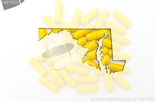 Image of Outline map of maryland with transparent pills in the background