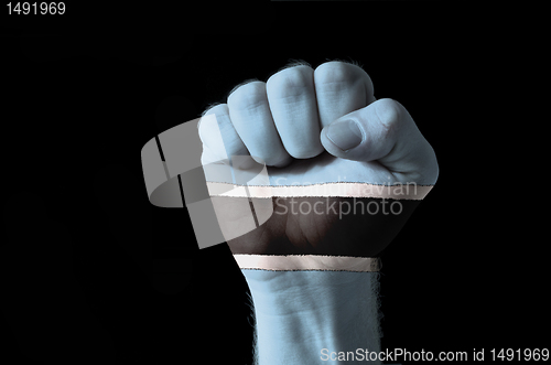 Image of Fist painted in colors of botswana flag