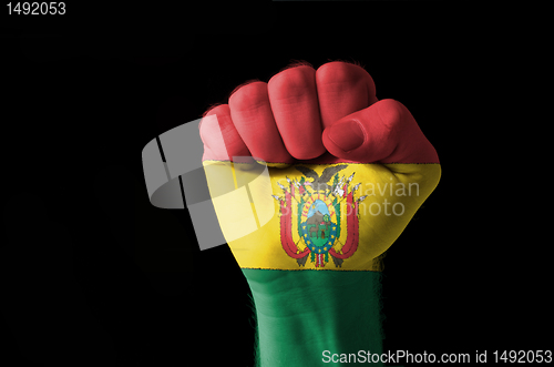 Image of Fist painted in colors of bolivia flag