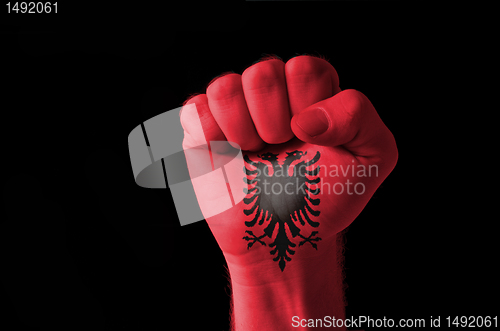 Image of Fist painted in colors of albania flag