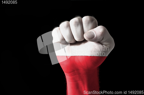 Image of Fist painted in colors of poland flag