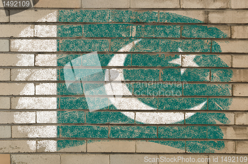 Image of flag of Pakistan on grunge brick wall painted with chalk  