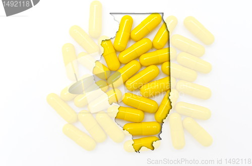 Image of Outline map of Illionis with transparent pills in the background