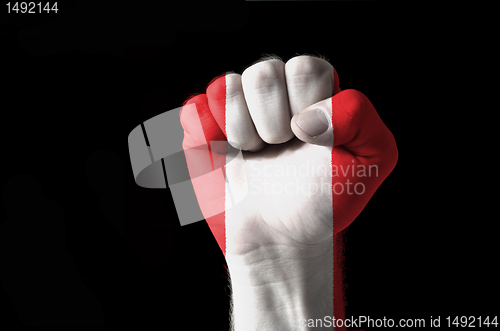 Image of Fist painted in colors of peru flag