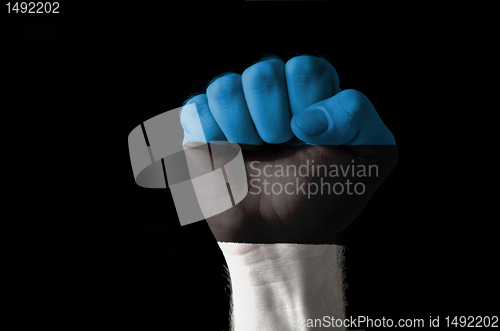 Image of Fist painted in colors of estonia flag