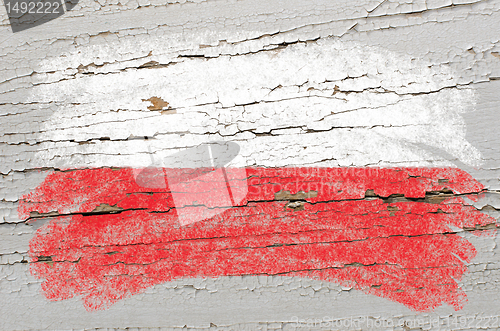 Image of flag of poland on grunge wooden texture painted with chalk  