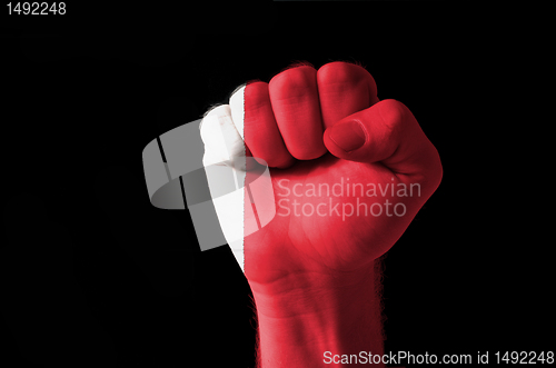 Image of Fist painted in colors of bahrain flag