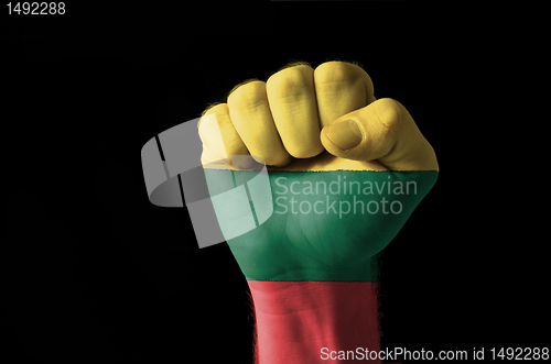 Image of Fist painted in colors of lithuania flag