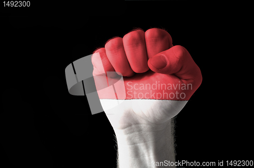 Image of Fist painted in colors of indonesia flag