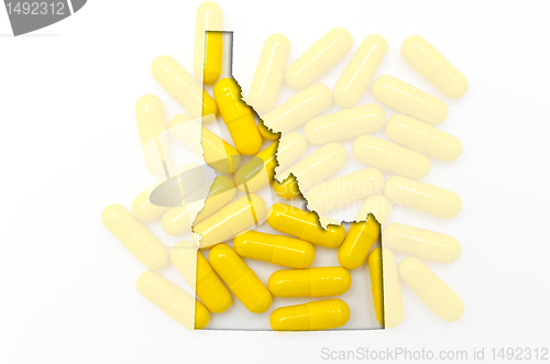 Image of Outline map of Idaho with transparent pills in the background