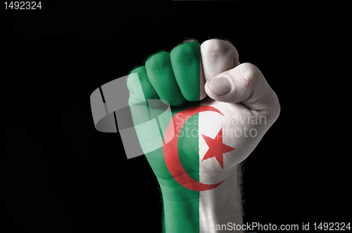 Image of Fist painted in colors of algeria flag