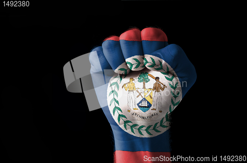 Image of Fist painted in colors of belize flag