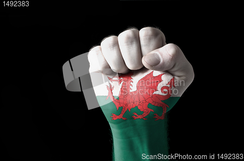 Image of Fist painted in colors of wales flag