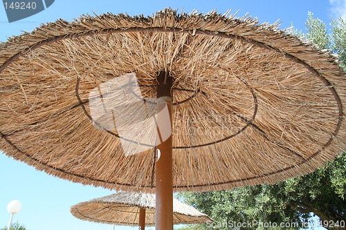 Image of Parasols