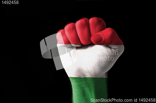 Image of Fist painted in colors of hungary flag