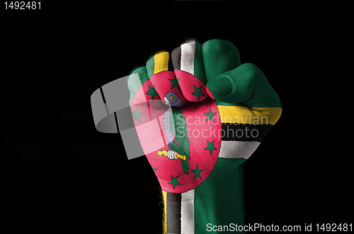 Image of Fist painted in colors of dominica flag