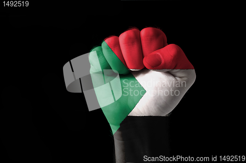 Image of Fist painted in colors of sudan flag