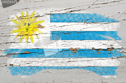 Image of flag of uruguay on grunge wooden texture painted with chalk  