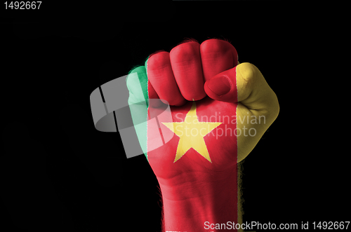 Image of Fist painted in colors of cameroon flag
