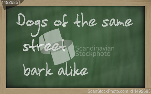 Image of " Dogs of the same street bark alike " written on a blackboard