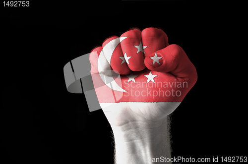 Image of Fist painted in colors of singapore flag