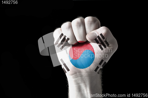 Image of Fist painted in colors of south korea flag