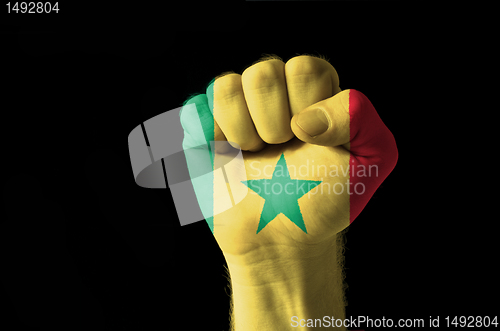 Image of Fist painted in colors of senegal flag