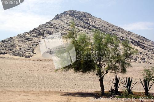 Image of Mount and desert