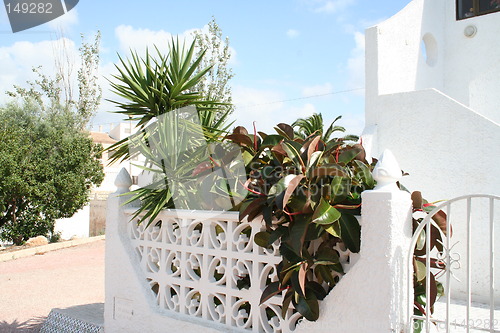 Image of Garden wall