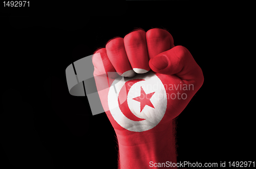 Image of Fist painted in colors of tunisia flag