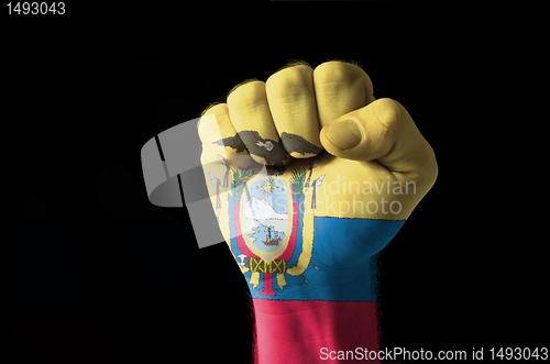 Image of Fist painted in colors of ecuador flag