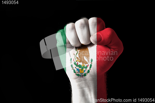 Image of Fist painted in colors of mexico flag