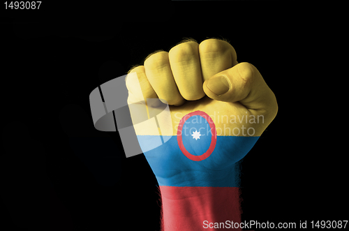 Image of Fist painted in colors of columbia flag