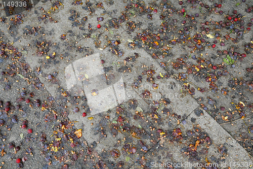 Image of Crushed plums