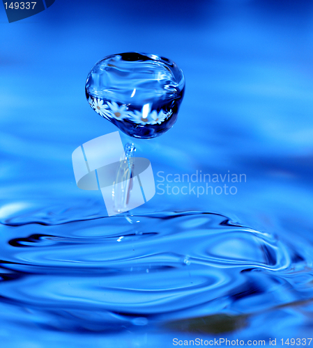 Image of drop with reflection of flowers