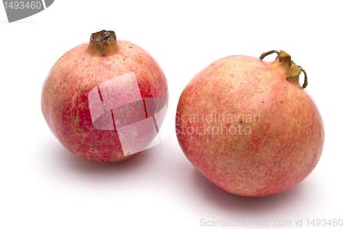 Image of Fresh pomegranate